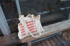 Thomas Hanus design graphique graphic design graphisme