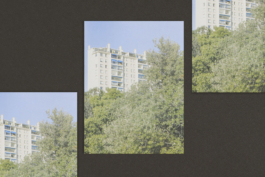 Thomas Hanus design graphique graphic design graphisme