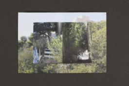 Thomas Hanus design graphique graphic design graphisme