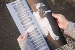 Thomas Hanus design graphique graphic design graphisme