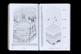 Thomas Hanus design graphique graphic design graphisme